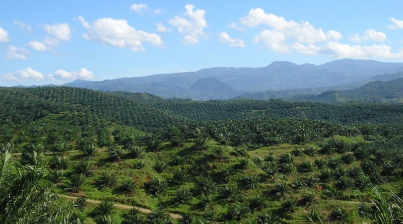 อินโดนีเซียพัฒนาไบโอเอทานอลจากของเสียปาล์มน้ำมัน เร่งการเปลี่ยนผ่านด้านพลังงาน