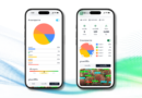 AI พลิกโฉมการคัดเกรดปาล์มน้ำมัน: เมื่อมาตรฐานเดียวช่วยยกระดับทั้งห่วงโซ่อุปทาน