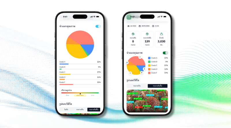 AI พลิกโฉมการคัดเกรดปาล์มน้ำมัน: เมื่อมาตรฐานเดียวช่วยยกระดับทั้งห่วงโซ่อุปทาน